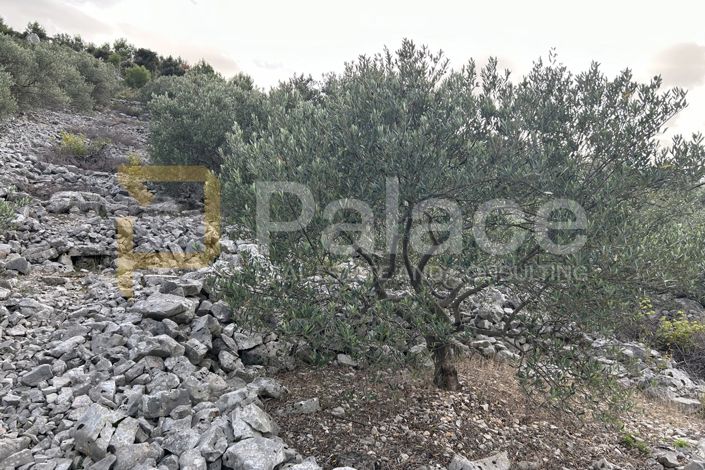 Image No.5-Land for sale