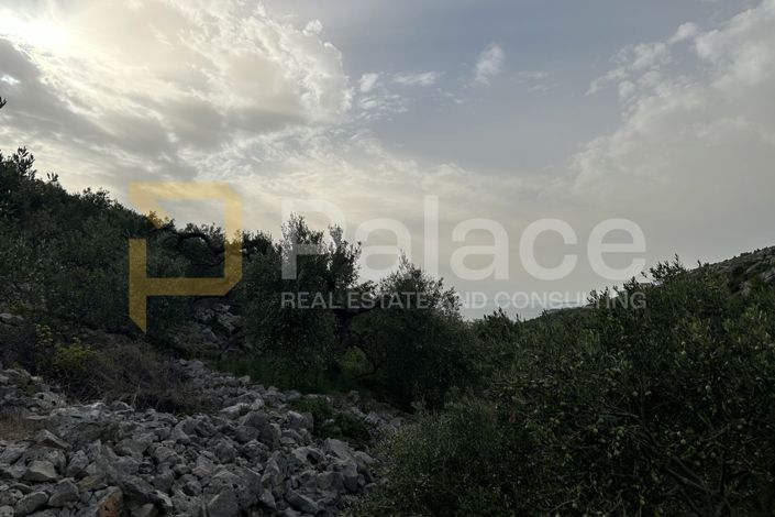 Image No.6-Land for sale