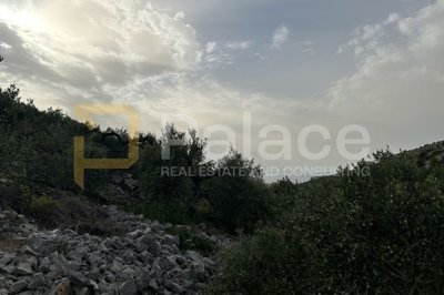 zemljiste-s-maslinama-i-pogledom-na-more_6