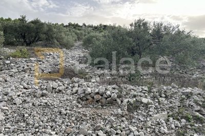 zemljiste-s-maslinama-i-pogledom-na-more_8