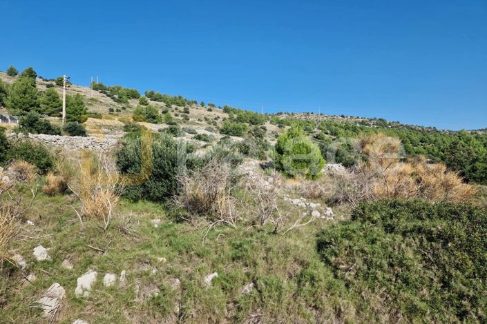 Image No.3-Plot for sale