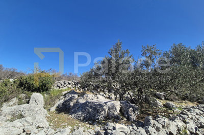 poljoprivredno-zemljiste-u-primostenu-4-584-m2_1