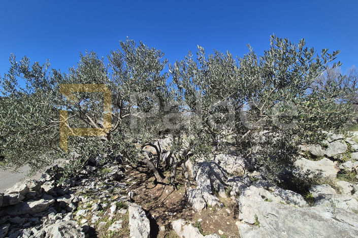 Image No.3-Land for sale