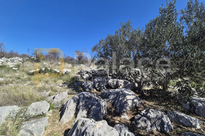 poljoprivredno-zemljiste-u-primostenu-4-584-m2_6