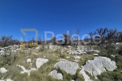 poljoprivredno-zemljiste-u-primostenu-4-584-m2_8