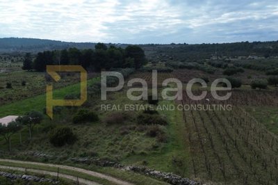 prilika-poljoprivredno-zemljiste-uz-put-donje-polje-1364-m2_2