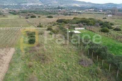 prilika-poljoprivredno-zemljiste-uz-put-donje-polje-1364-m2_3