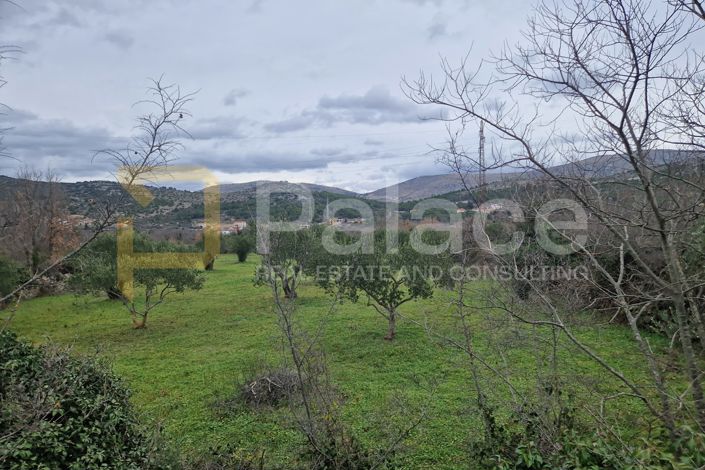Image No.2-Land for sale