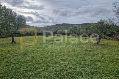 uredjeni-maslinik-dubrava-kod-sibenika-2798-m2_3