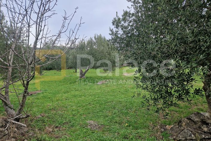 Image No.2-Land for sale