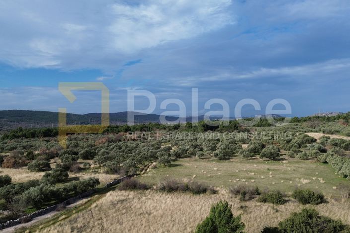 Image No.2-Plot for sale