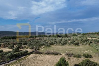 gradjevinsko-zemljiste-u-dubravi-3021-m2_2