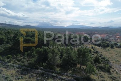 gradjevinsko-zemljiste-u-dubravi-3021-m2_3