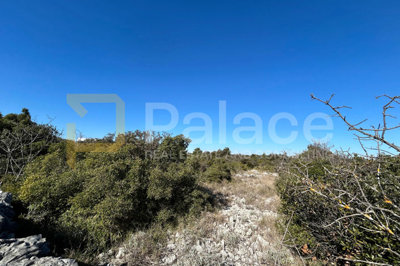 poljoprivredno-zemljiste-u-bogdanovicima_4