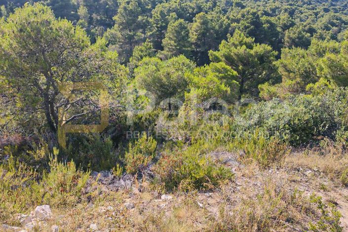 Image No.2-Land for sale