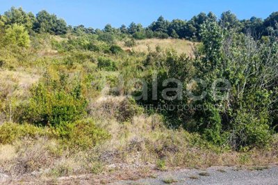 poljoprivredno-zemljiste-na-visu-7127-m2_6