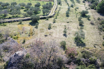 obradjeno-poljoprivredno-zemljiste-u-zaledju-vodica_6