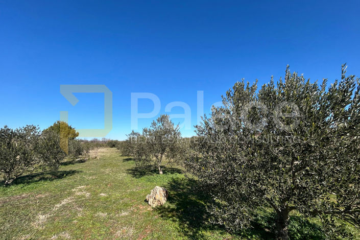 Image No.8-Land for sale