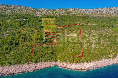 poljoprivredno-zemljiste-s-vinogradom-40000-m-uz_2