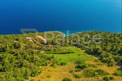 poljoprivredno-zemljiste-s-vinogradom-40000-m-uz_6