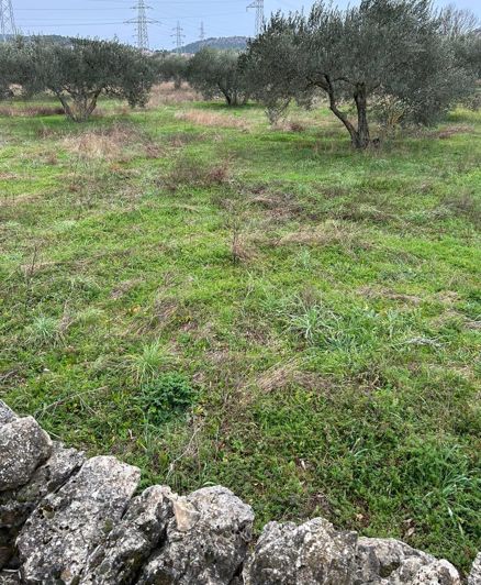 Image No.2-Terrain à vendre à Šibenik-Knin
