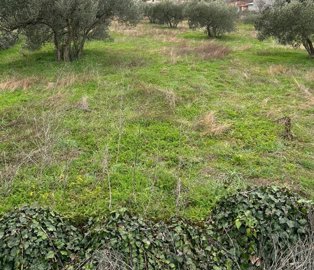 atraktivno-gradjevinsko-zemljiste-povrsine-3719m2-bilice_3