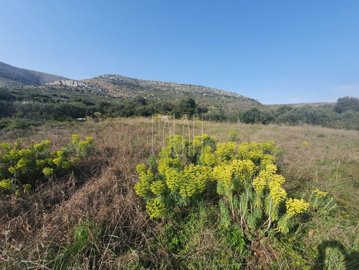 gradj-zemljiste-s-pogledom-trogir-1405-m2_3