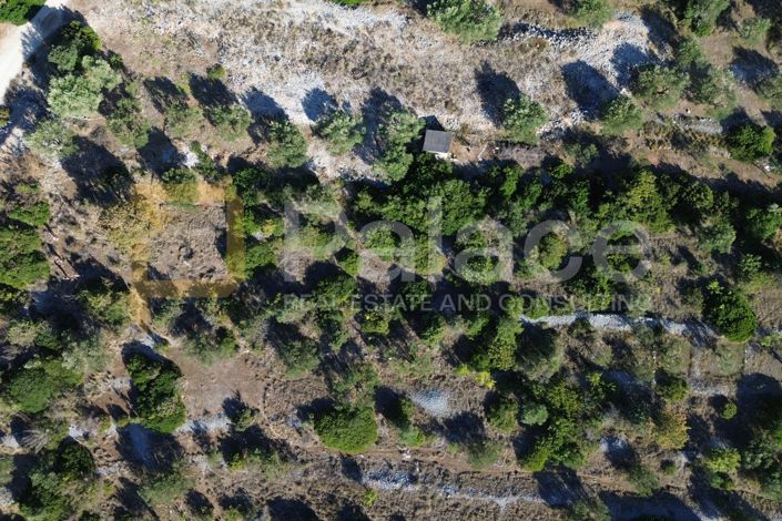 Image No.2-Land for sale