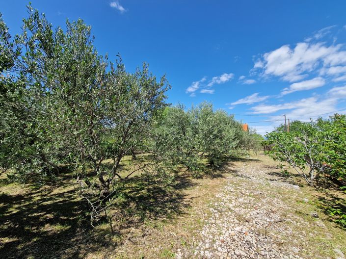 Image No.3-6 Bed House for sale