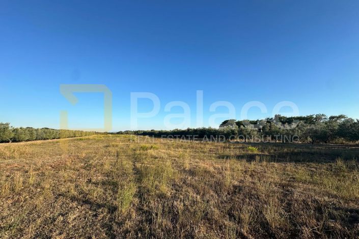 Image No.2-Plot for sale