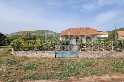 kuca-s-vinogradom-i-velikom-okucnicom-80m2-sitno-donje_1