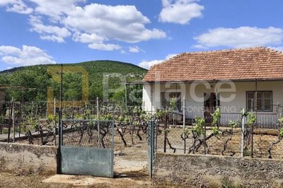kuca-s-vinogradom-i-velikom-okucnicom-80m2-sitno-donje_2
