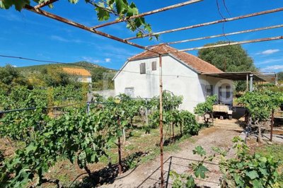 kuca-s-vinogradom-i-velikom-okucnicom-80m2-sitno-donje_3