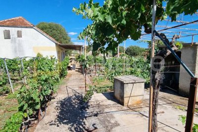 kuca-s-vinogradom-i-velikom-okucnicom-80m2-sitno-donje_4