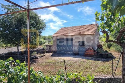 kuca-s-vinogradom-i-velikom-okucnicom-80m2-sitno-donje_7