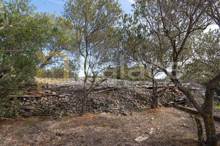 Image No.4-2 Bed House for sale