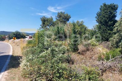 gradjevinsko-zemljiste-767-m-ugrinic-otok-pasman-120-od-mora_3