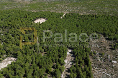 gradjevinsko-zemljiste-na-mirnoj-lokaciji-1445-m2-dubrava_6