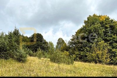 1 - Ravna Gora, Parcela