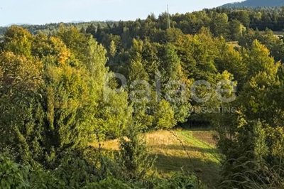 stari-laz-gradjevinsko-zemljiste-5383-m-210000-gorski-kotar_2