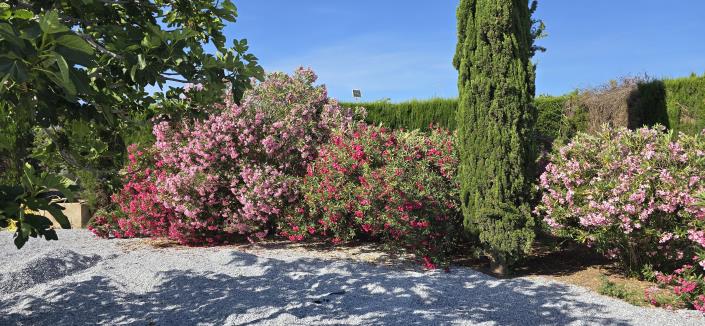 Image No.12-4 Bed Villa / Detached for sale