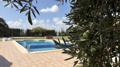 Olives