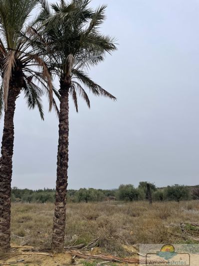 Image No.5-Land for sale