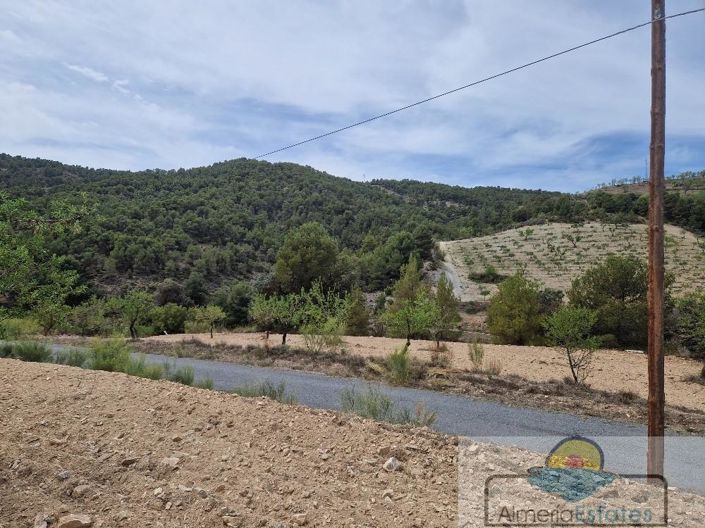 Image No.12-Property for sale