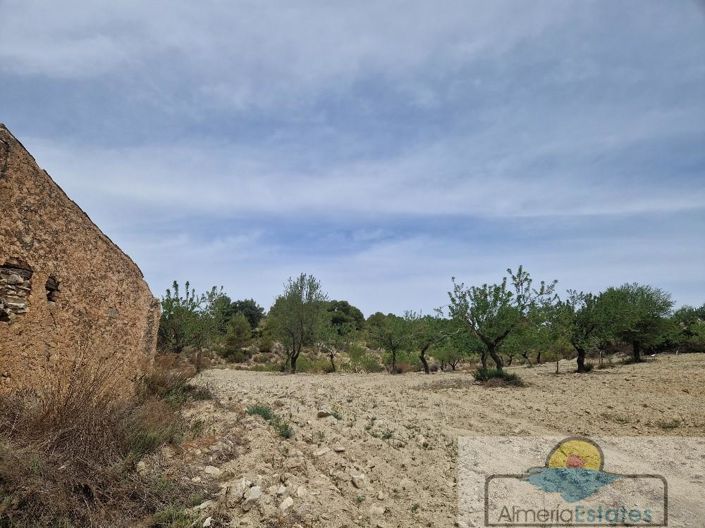 Image No.16-Property for sale