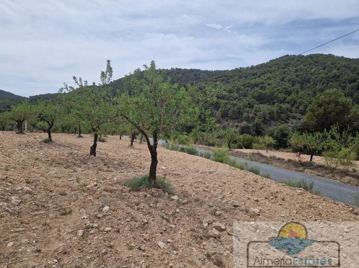 Image No.4-Property for sale