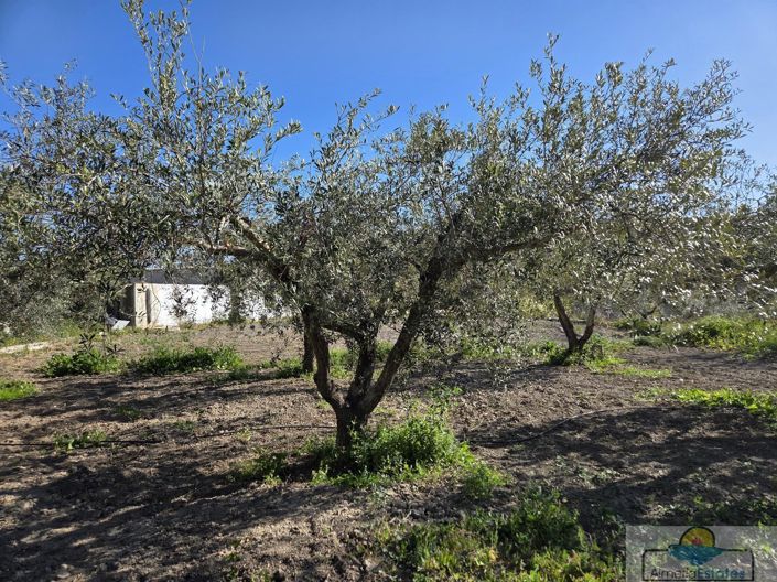 Image No.38-7 Bed Villa for sale