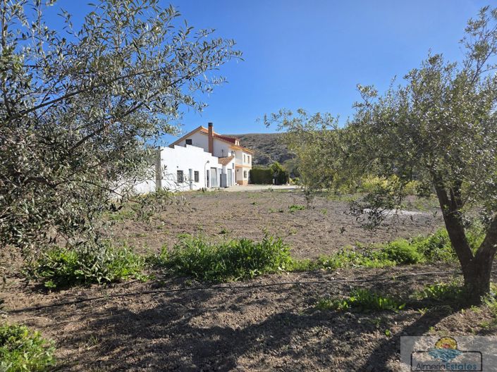 Image No.39-7 Bed Villa for sale