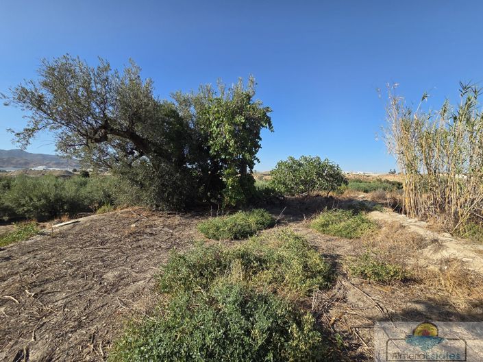 Image No.7-Property for sale