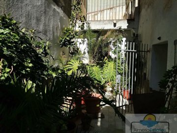 2050foto008318